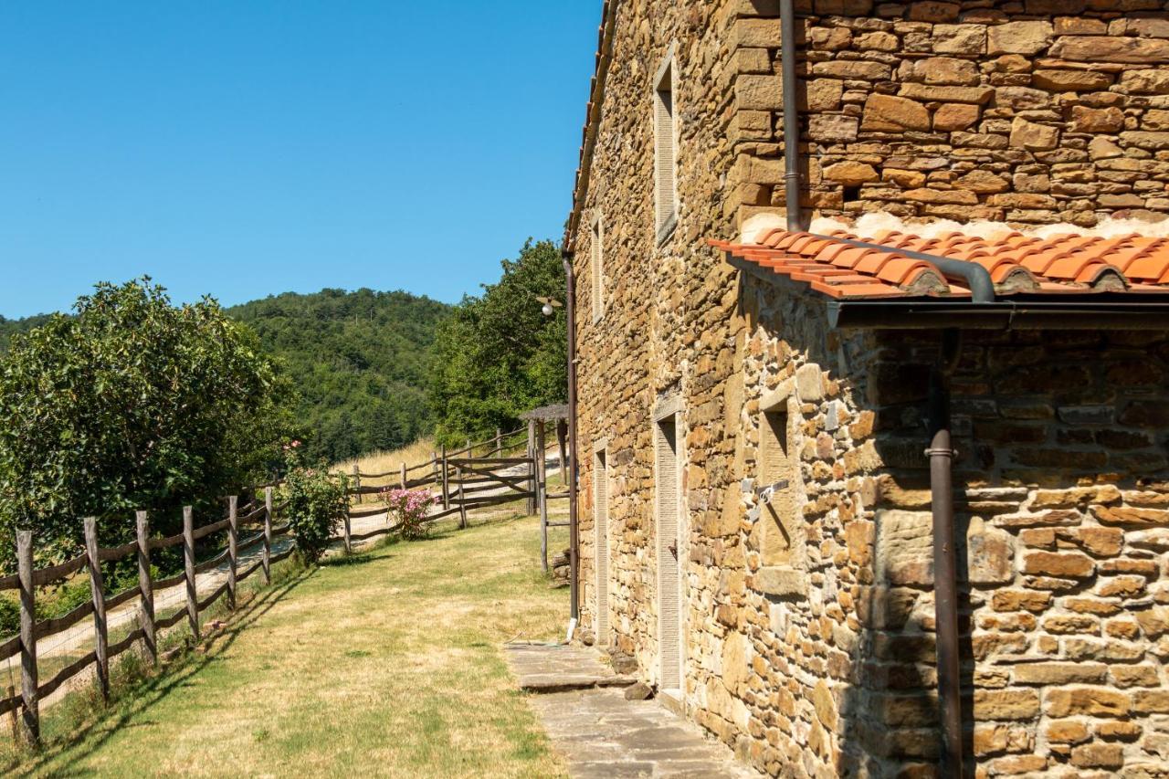 Agriturismo Con Piscina In Toscana, Tribbiano Arezzo Zewnętrze zdjęcie