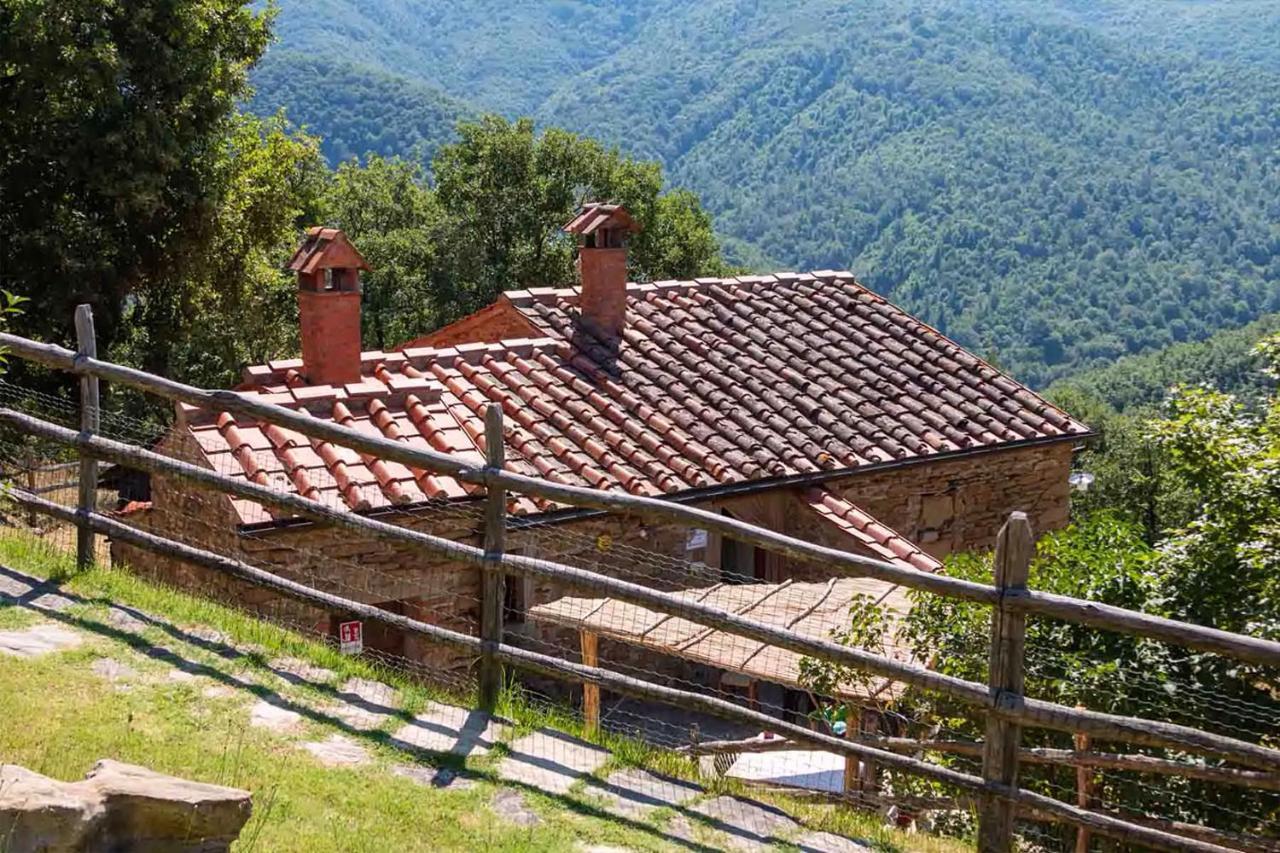 Agriturismo Con Piscina In Toscana, Tribbiano Arezzo Zewnętrze zdjęcie