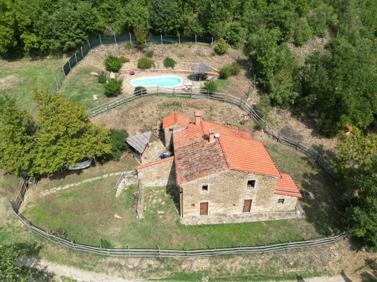 Agriturismo Con Piscina In Toscana, Tribbiano Arezzo Zewnętrze zdjęcie